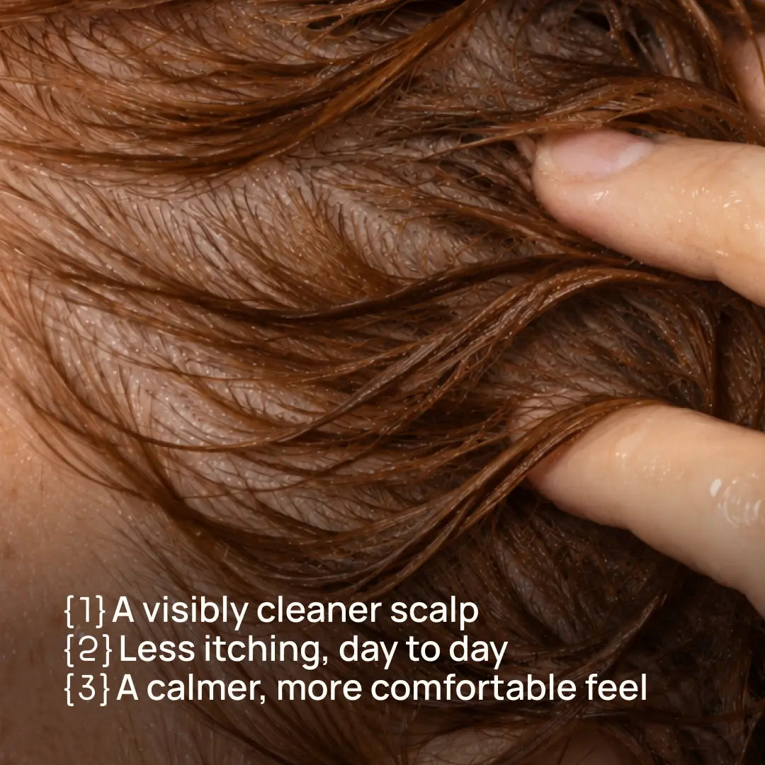 ANTI-DANDRUFF PREBIOTIC PRE-WASH